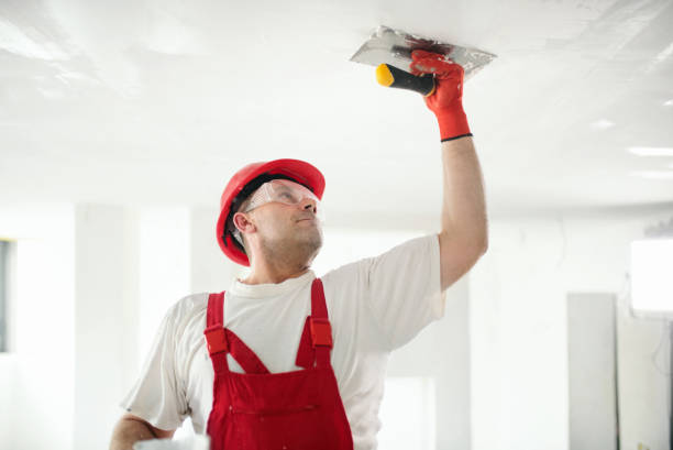 Best Mold Odor Removal Services  in Priest River, ID