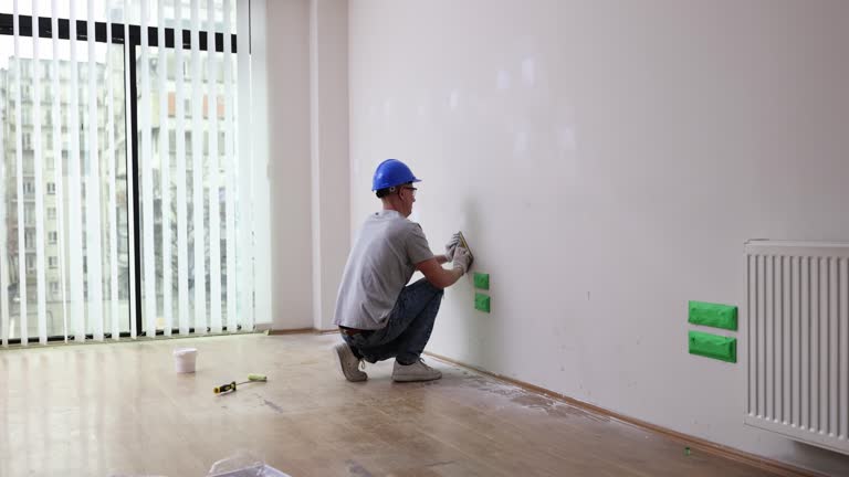 Best Basement Mold Removal  in Priest River, ID