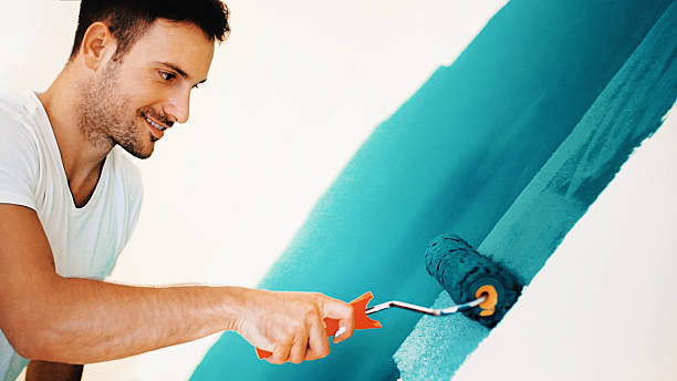 Priest River, ID Mold Removal Company