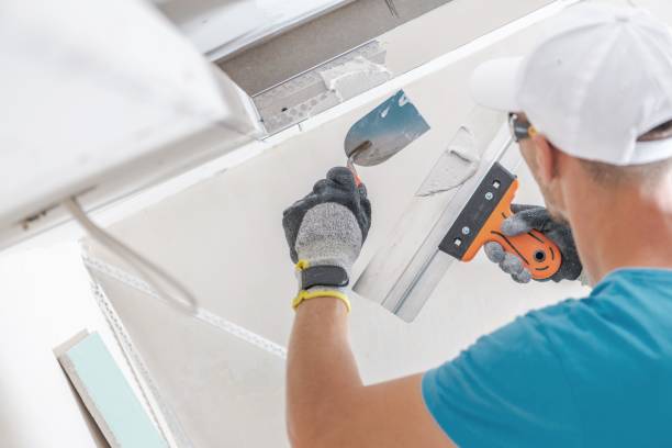 Best Crawl Space Mold Remediation  in Priest River, ID